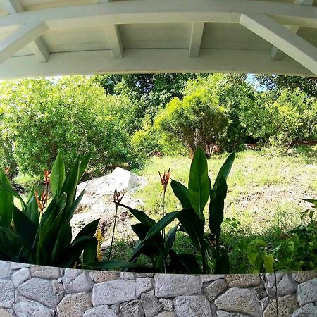Villa Cana Et Son Spa A Terre De Haut Terre-De-Haut Eksteriør billede