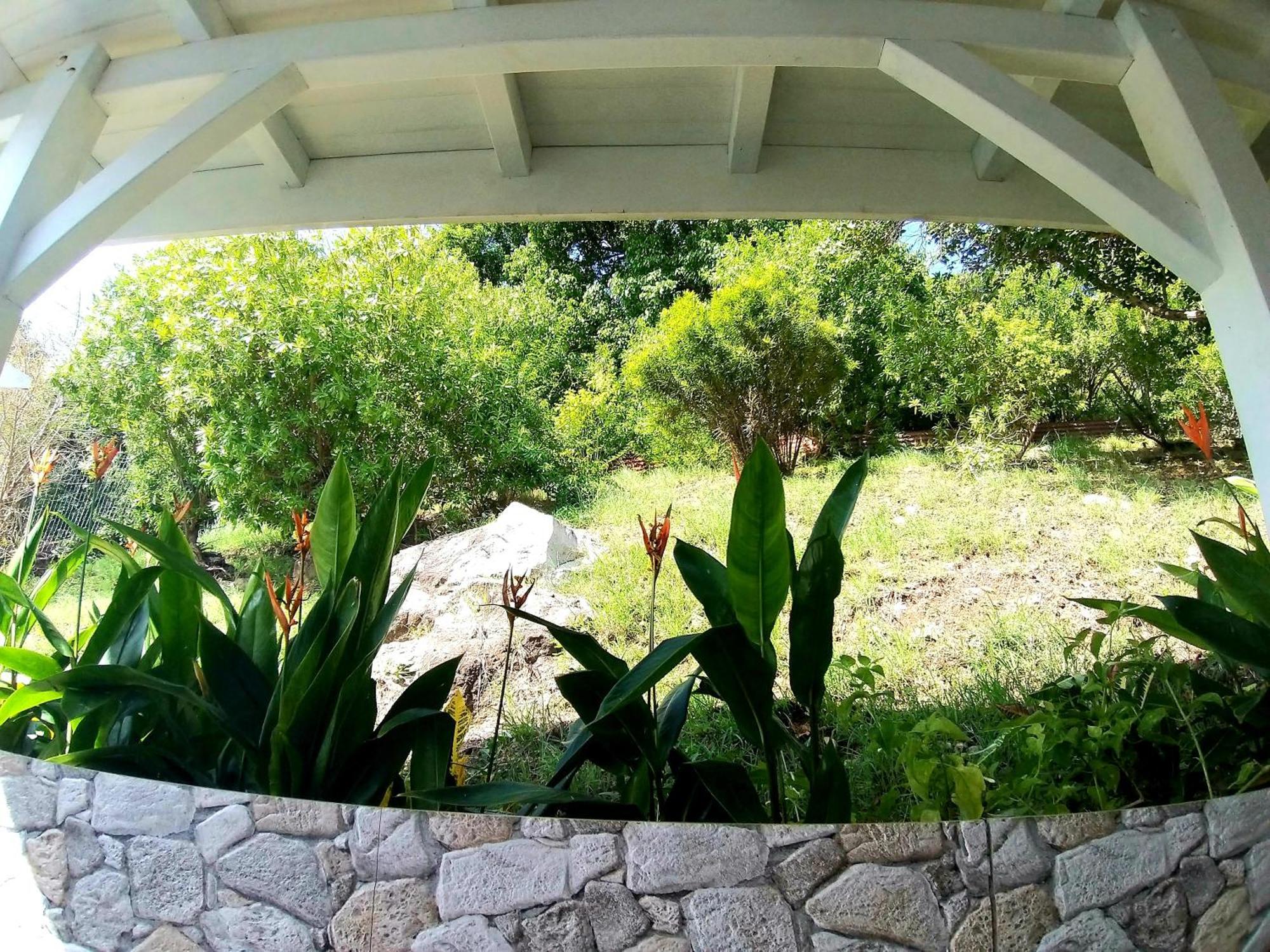 Villa Cana Et Son Spa A Terre De Haut Terre-De-Haut Eksteriør billede
